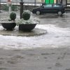 brucello-sanbuca pistoiese 002